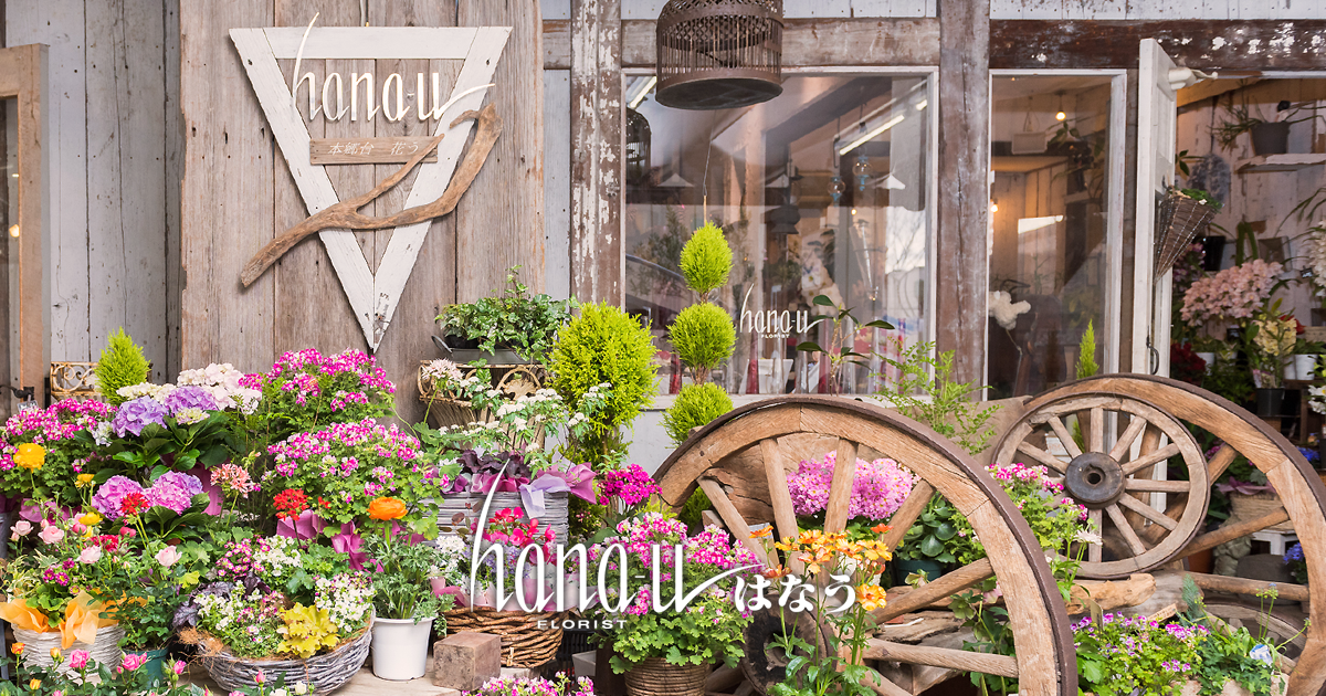 発表会やステージイベントを華やかに飾るお花 フラワーギフト お花の専門店 本郷台花う 発表会やステージイベントを華やかに飾るお花 フラワーギフト お花の専門店 本郷台花う